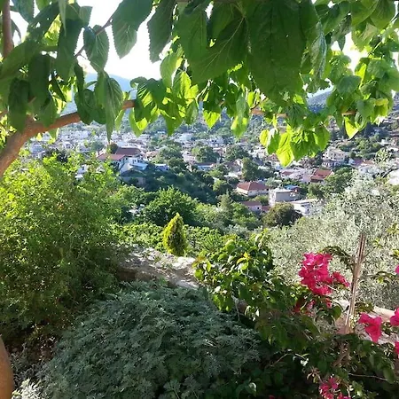 Apartment Logement Grece Evia Thermalisme En Mer Egee Edipsos