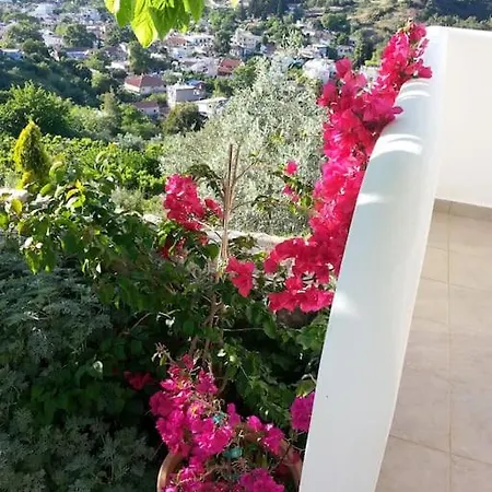 Apartment Logement Grece Evia Thermalisme En Mer Egee